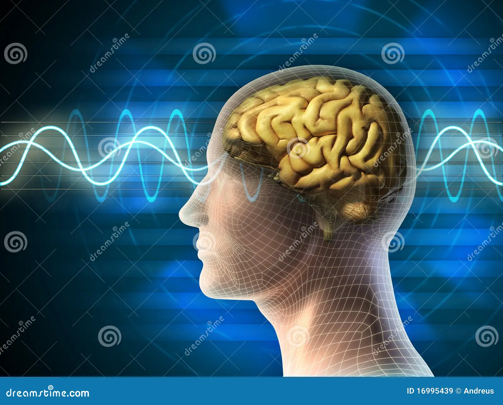 themoney-wave-programs